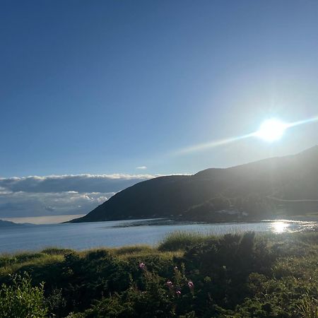 Evenes Artic Glamping Ξενοδοχείο Evenesmarkja Εξωτερικό φωτογραφία